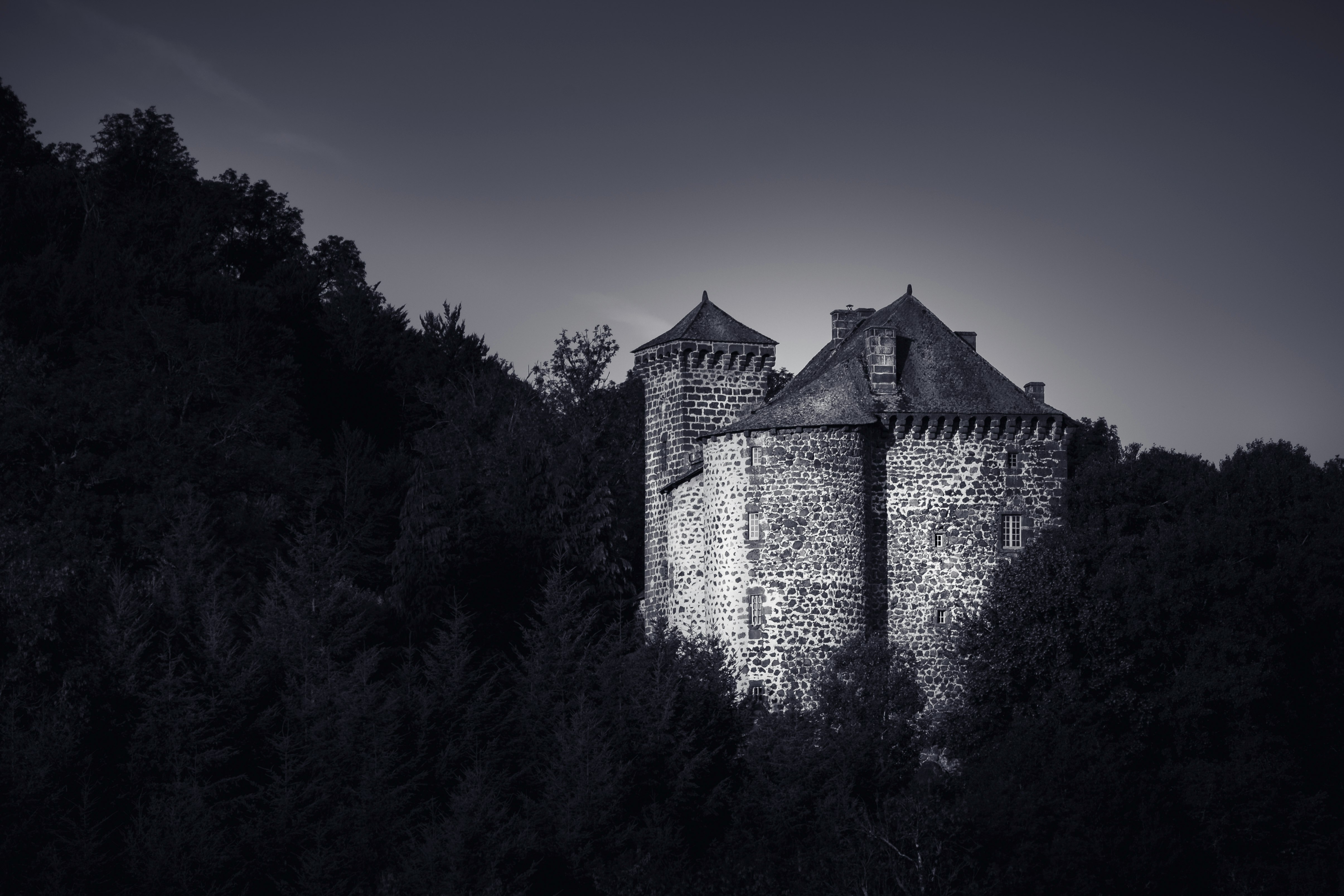 grayscale photography of castle surrounded with trees